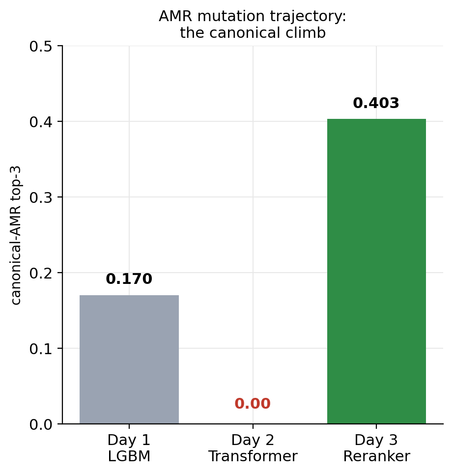 Canonical-AMR top-3 across 3 days: 0.17, 0.00, 0.403