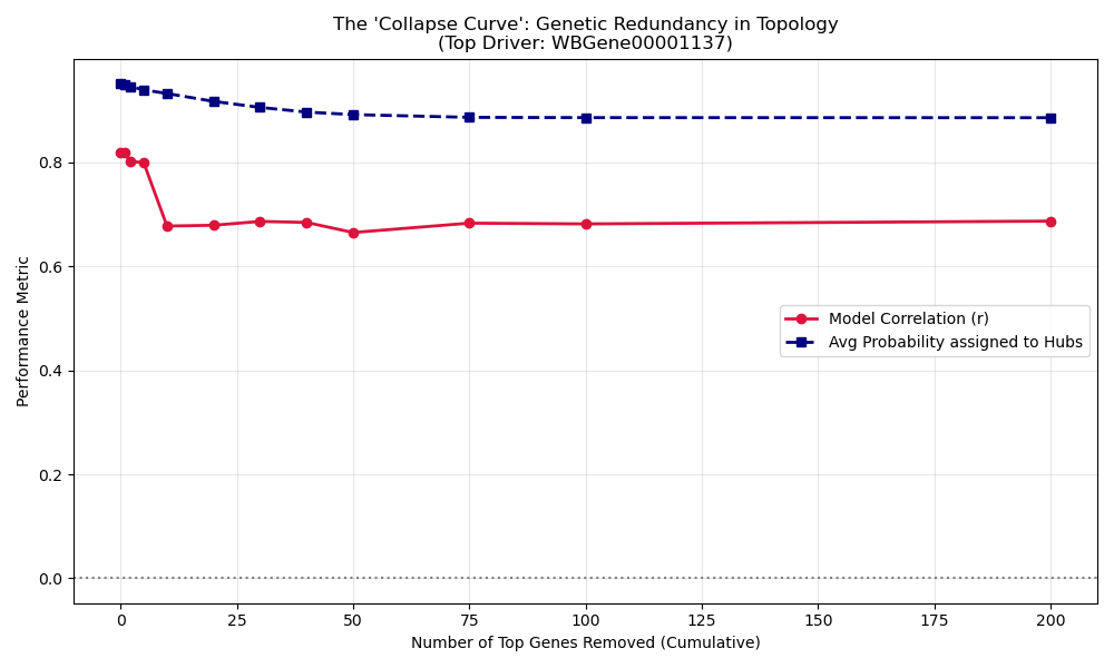 Genetic collapse curve: model correlation (red) vs. cumulative top-driver gene knockouts, alongside average probability assigned to hub neurons (navy). Performance plateaus well above chance even after 200 genes removed — evidence of genetic redundancy supporting the topology-dominant thesis.