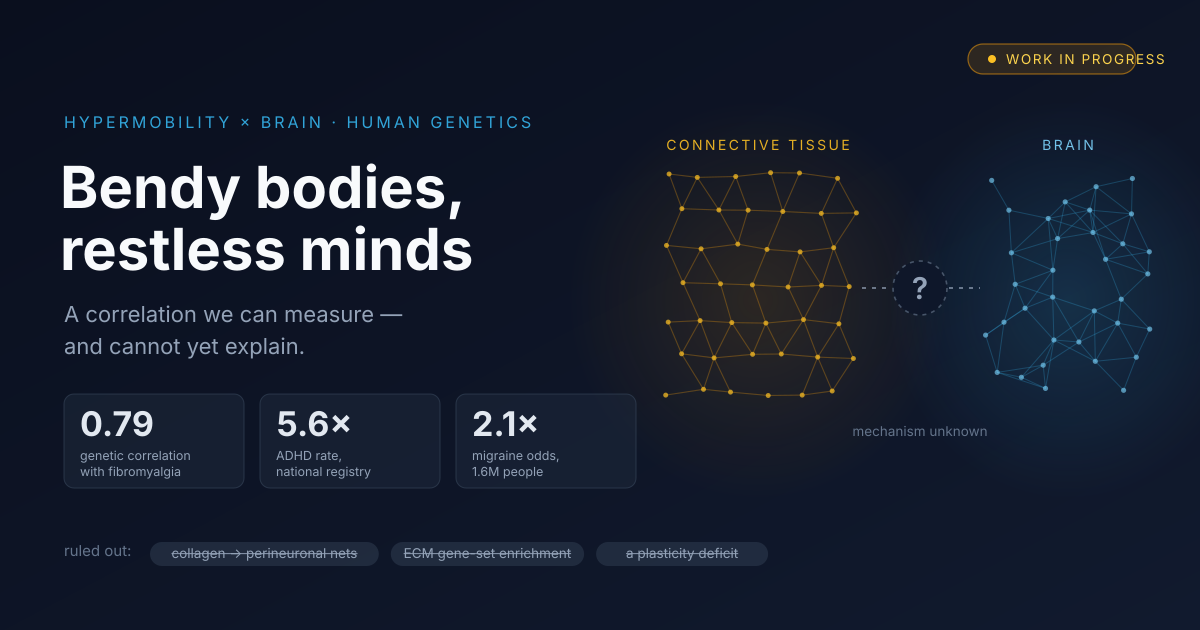 Bendy bodies, restless minds — an ordered connective-tissue lattice and a neural network, joined by a dashed link marked with a question mark, above the measured associations and the explanations ruled out
